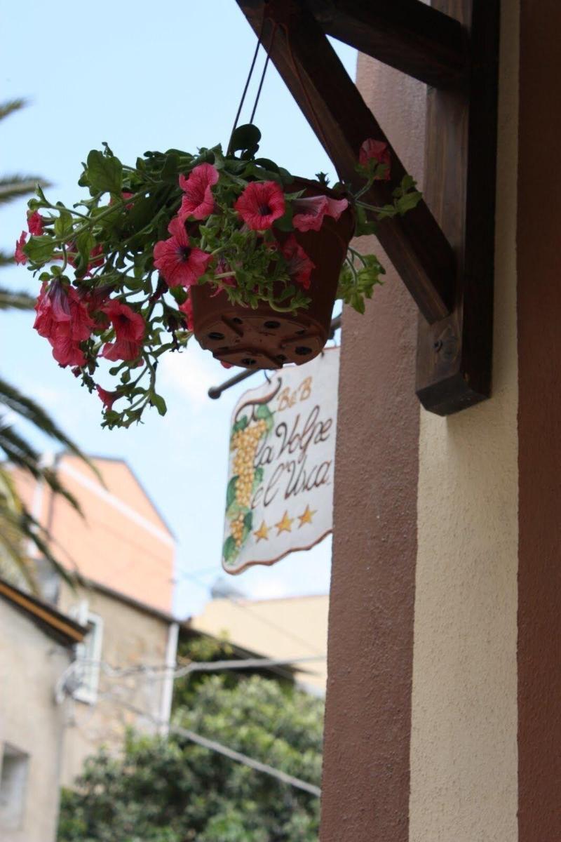 La Volpe E L'Uva B&B П'яцца-Армерина Екстер'єр фото